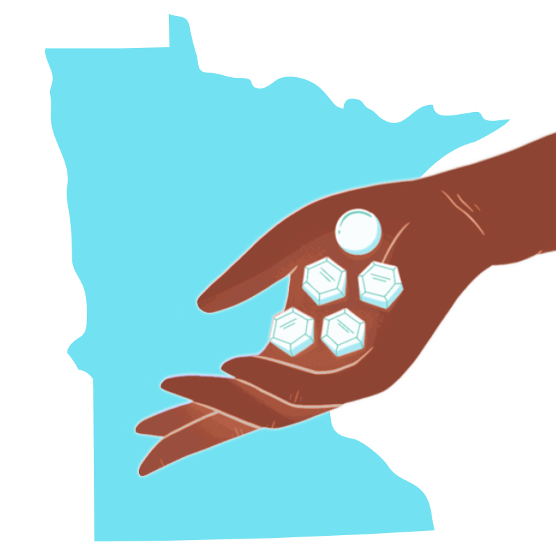 Abortion pill Minnesota